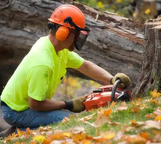 tree services Yerington